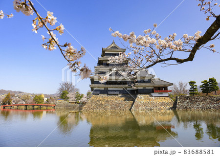 【長野県】桜満開の松本城 【長野県】桜満開の松本城 83688581