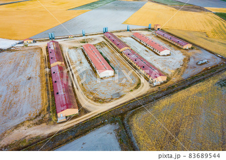 Pig farm in central Spain Pig farm in central Spain 83689544