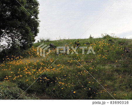 古墳 古墳 83690316