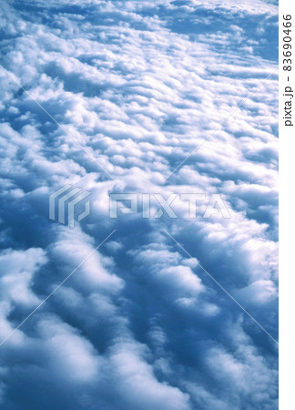 雲海 83690466