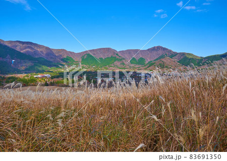 箱根の秋の仙石原すすき草原から北側の金時山方面を見る 箱根の秋の仙石原すすき草原から北側の金時山方面を見る 83691350