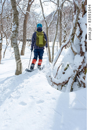 スノーシュートレッキングのイメージ（大山木谷沢渓流）の写真素材