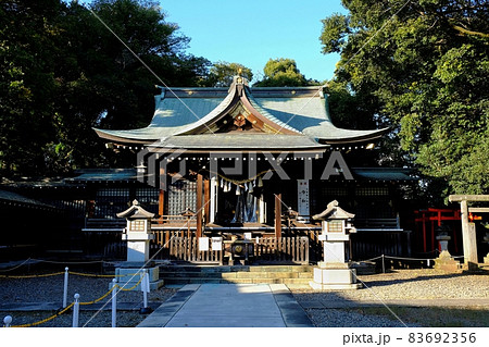 東京都板橋区双葉町 氷川神社 東京都板橋区双葉町 氷川神社 83692356