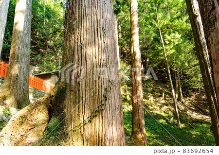 【愛知県】 鳳来山 東照宮 【愛知県】 鳳来山 東照宮 83692654