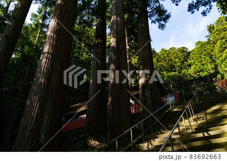 【愛知県】 鳳来山 東照宮 【愛知県】 鳳来山 東照宮 83692663
