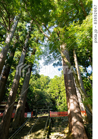 【愛知県】　鳳来山 東照宮 83692667