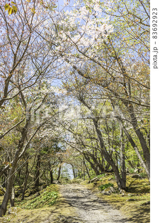 有珠善光寺自然公園　北海道 伊達市 83692923