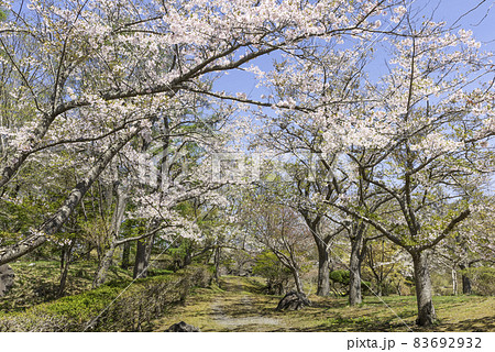 有珠善光寺自然公園 北海道 伊達市 有珠善光寺自然公園 北海道 伊達市 83692932