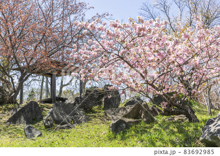 有珠善光寺自然公園　北海道 伊達市 83692985
