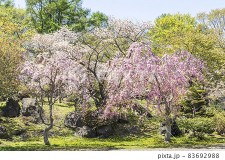 有珠善光寺自然公園 北海道 伊達市 有珠善光寺自然公園 北海道 伊達市 83692988