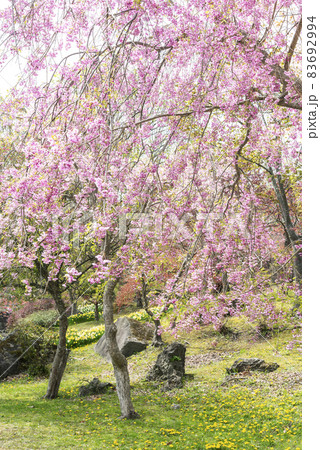 有珠善光寺自然公園 北海道 伊達市 有珠善光寺自然公園 北海道 伊達市 83692994