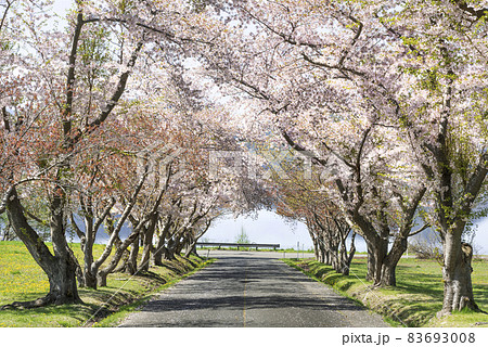 洞爺湖 えぼし岩公園　洞爺湖町 83693008