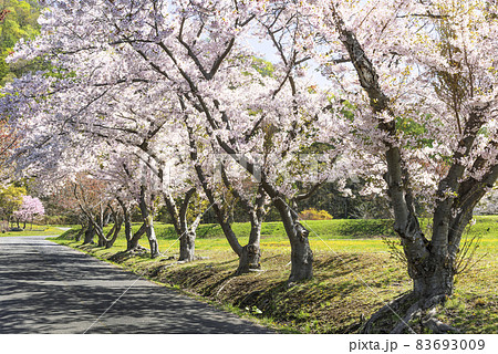 洞爺湖 えぼし岩公園　洞爺湖町 83693009