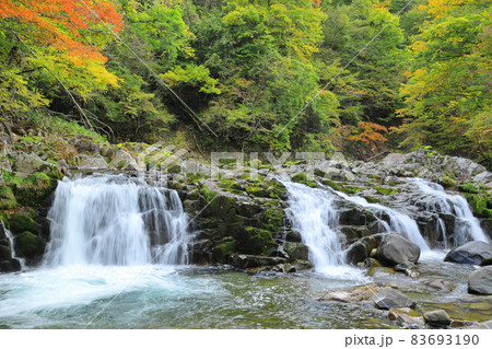 秋を迎えたせせらぎ街道 83693190