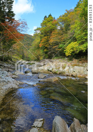 2021せせらぎ街道の秋 83693193