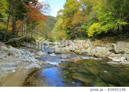 紅葉のせせらぎ渓谷 83693196