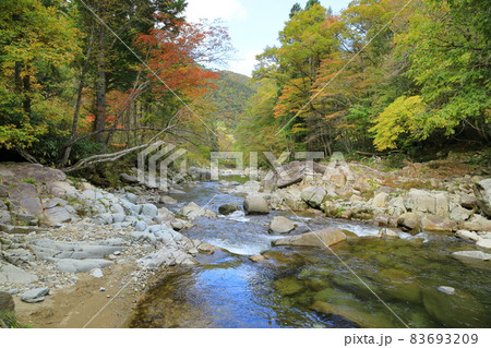 紅葉のせせらぎ渓流 83693209