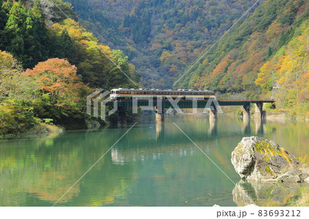 秋のダム湖上を走る高山本線特急ワイドビューひだ号 83693212