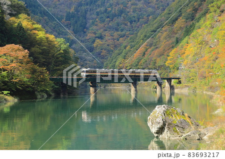 秋のダム湖上を走る高山本線特急ワイドビューひだ号 秋のダム湖上を走る高山本線特急ワイドビューひだ号 83693217