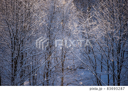 ダイヤモンドダストの煌き 83693287