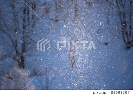 ダイヤモンドダストの煌き 83693297