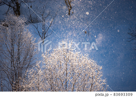 ダイヤモンドダストの煌き ダイヤモンドダストの煌き 83693309