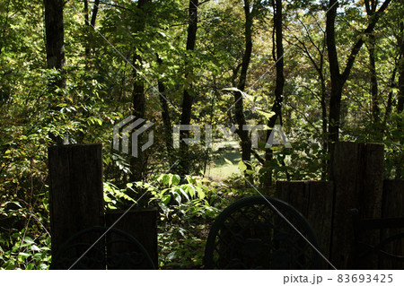 四季の散歩　秋　たじま高原植物園 83693425