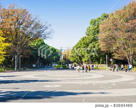 代々木公園 原宿門 代々木公園 原宿門 83693466