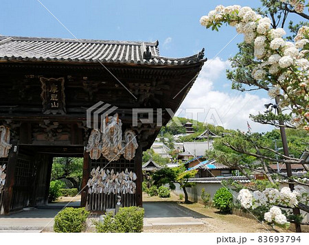 広島県尾道市 春の西國寺 広島県尾道市 春の西國寺 83693794