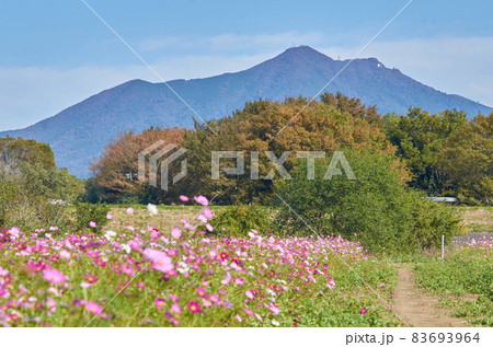 筑波山 83693964
