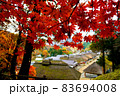 日本の秋の原風景　紅葉の名所福島県大内宿の美しい紅葉 83694008