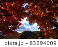 日本の秋の原風景　紅葉の名所福島県大内宿の美しい紅葉 83694009