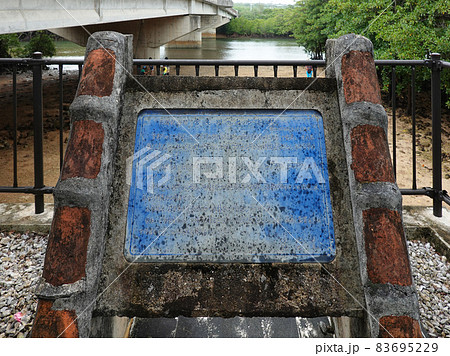 天然記念 宮良川のヒルギ林（沖縄県石垣市） 83695229
