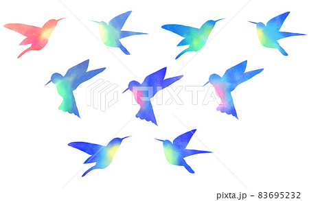 カラフル水彩ハチドリセット カラフル水彩ハチドリセット 83695232