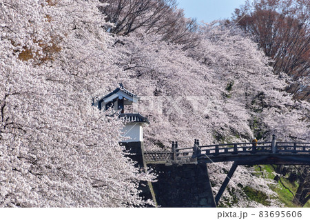 桜景　山形城 83695606