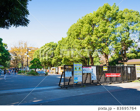 代々木公園 原宿門 代々木公園 原宿門 83695764