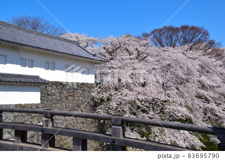 桜景　山形城 83695790