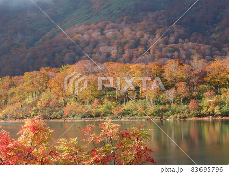 栗駒山須川の紅葉 栗駒山須川の紅葉 83695796