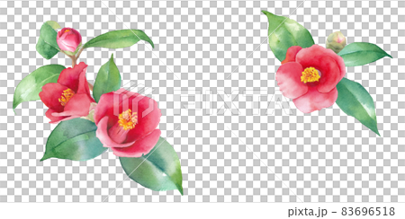 Watercolor illustration of red camellia. Two-corner decorative frame. banner. (Vector data. Leaf and flower layout can be changed) 83696518