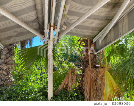 Ocean Beach Palapa and Coconut Palm Tree Leaves over Bright Blue Sky Background. Tropical Sunny Vacation Destination Backdrop Ocean Beach Palapa and Coconut Palm Tree Leaves over Bright Blue Sky Background. Tropical Sunny Vacation Destination Backdrop 83698036