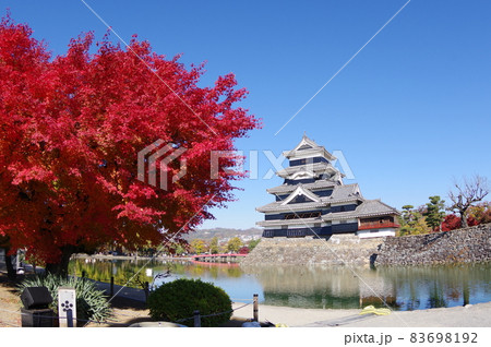 信州 松本 国宝 秋の紅葉と松本城 現存する築城当時の姿を残す天守 信州 松本 国宝 秋の紅葉と松本城 現存する築城当時の姿を残す天守 83698192