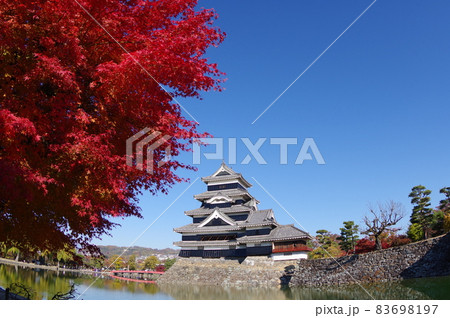 信州 松本 国宝 秋の紅葉と松本城 現存する築城当時の姿を残す天守 信州 松本 国宝 秋の紅葉と松本城 現存する築城当時の姿を残す天守 83698197