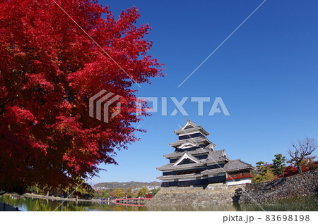 信州 松本 国宝 秋の紅葉と松本城 現存する築城当時の姿を残す天守 信州 松本 国宝 秋の紅葉と松本城 現存する築城当時の姿を残す天守 83698198
