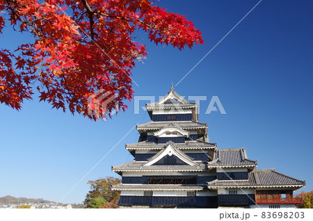 信州 松本 国宝 秋の紅葉と松本城 現存する築城当時の姿を残す天守 信州 松本 国宝 秋の紅葉と松本城 現存する築城当時の姿を残す天守 83698203