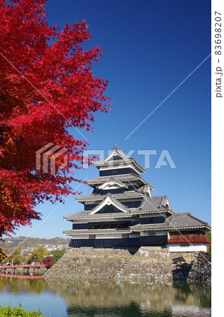 信州 松本 国宝 秋の紅葉と松本城 現存する築城当時の姿を残す天守 信州 松本 国宝 秋の紅葉と松本城 現存する築城当時の姿を残す天守 83698207
