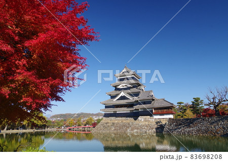信州 松本 国宝 秋の紅葉と松本城 現存する築城当時の姿を残す天守 信州 松本 国宝 秋の紅葉と松本城 現存する築城当時の姿を残す天守 83698208