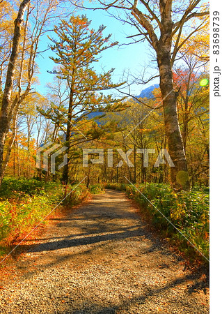 秋の上高地・河童橋付近の風景 【長野県】 秋の上高地・河童橋付近の風景 【長野県】 83698739