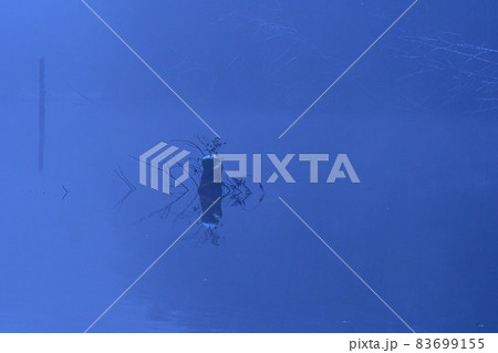 霧に包まれた大正池と朽木 83699155