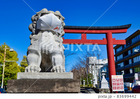 鎌倉 段葛の二の鳥居とマスク姿の狛犬 83699442