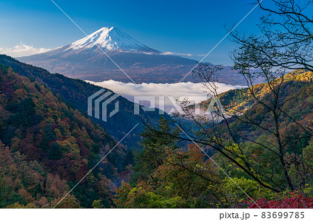 (山梨県)紅葉の御坂道から望む雲海・富士山 (山梨県)紅葉の御坂道から望む雲海・富士山 83699785